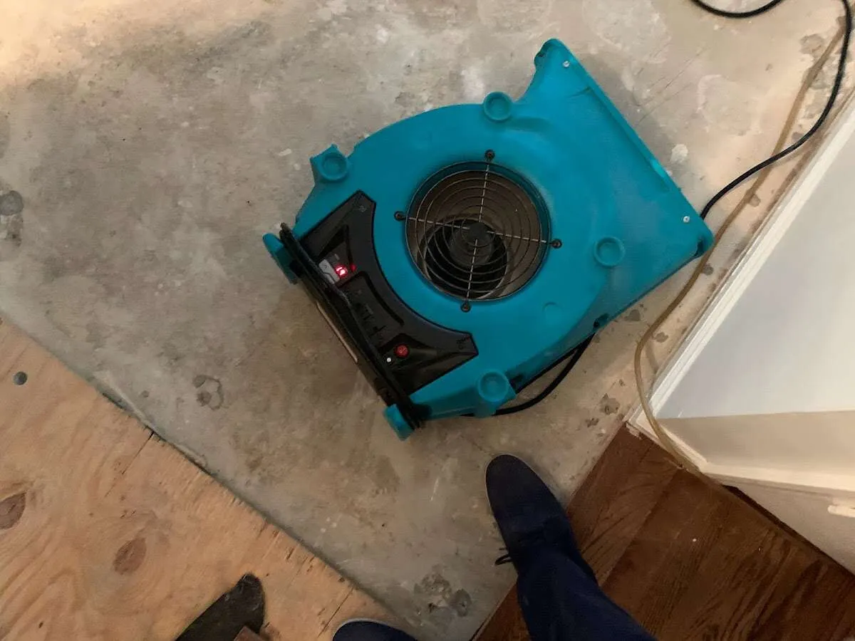 Air mover drying subfloor during Commercial Water Damage Restoration in Paterson